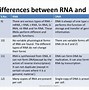 Image result for DNA vs RNA Table