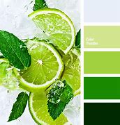 Image result for iPhone 13 Colours
