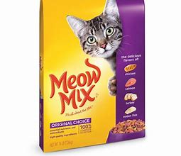 Image result for Cat Food Cat
