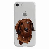 Image result for iPhone 6 Dog Image