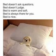 Image result for Warm Comfy Bed Meme