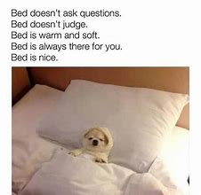 Image result for Sleeping with Dogs Memes