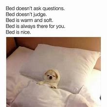 Image result for Dog Bed Meme