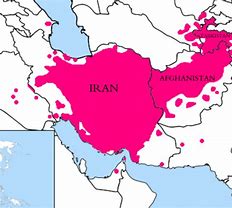 Image result for Persian/Farsi