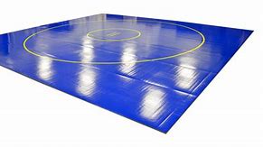 Image result for Yellow Wrestling Mat