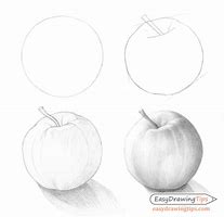 Image result for Realistic Drawing of Apple