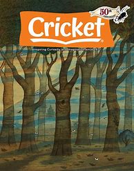 Image result for Cricket Magazine Inner Pages