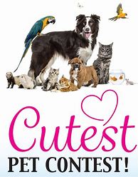 Image result for Cutest Pets in the World