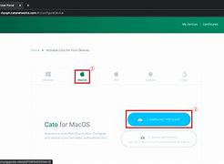 Image result for Cato VPN Client Download