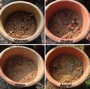 Image result for Compost Product