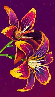 Image result for Flower Art Phone Wallpaper