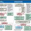 Image result for CPR 2025 Cheat Sheet