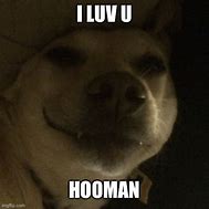 Image result for Hooman Dog Meme