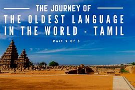 Image result for Ancient Tamil Script