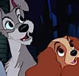 Image result for Lady and Tramp Love