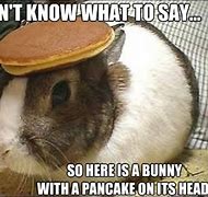 Image result for Pancake Bunny Meme