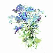 Image result for Forget Me Not Flowers Art