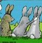 Image result for Easter Meme Carrot