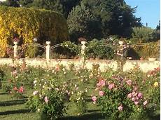 fiori bari consegna fiori a bari floreale fiori bari consegna fiori a bari floreale