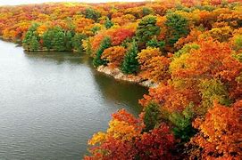 Image result for Colorful Fall Field