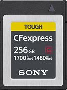 Image result for Tough Memory Card