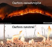 Image result for Biomass Burning