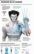 Image result for Wolverine Claw Sound