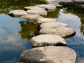 Image result for Pond Stepping Stones