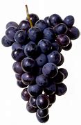 Image result for A Bunch of Grapes