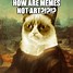 Image result for Memes Are Life