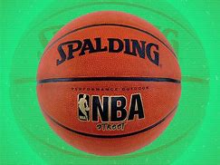 Image result for Spalding NBA Indoor/Outdoor Basketball