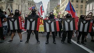 Image result for Protest Flags