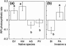 Image result for Native Species vs Invasive Species 4th Grade