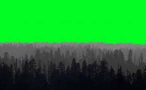 Image result for Forest Green Screen