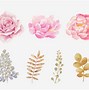 Image result for Pastel Pink Watercolor