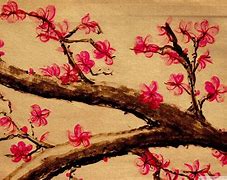 Image result for Sakura Cherry Blossom Drawing
