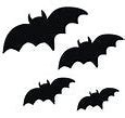 Image result for Bat Flying Animation