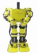 Image result for DARPA Humanoid Robot