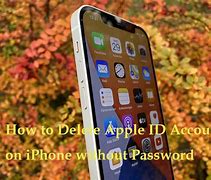 Image result for Erase iPhone without Password