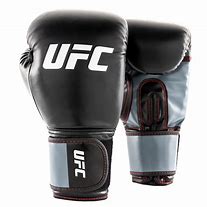 Image result for Boxing Gloves