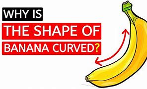 Image result for Banana Curve