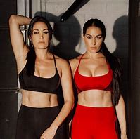 Image result for Brie and Nikki Bella Icon Photo Shoot