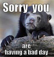 Image result for Cuz You Had a Bad Day Meme
