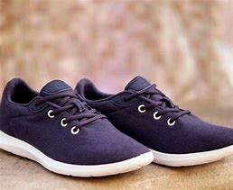 Image result for Merino Wool Shoes