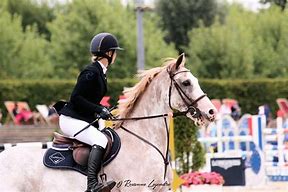 Image result for Equitation