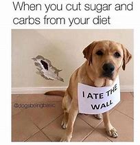 Image result for My Diet Meme