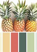 Image result for Pineapple Colour