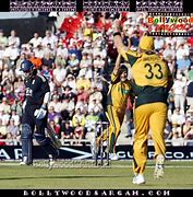 Image result for Cricket Players