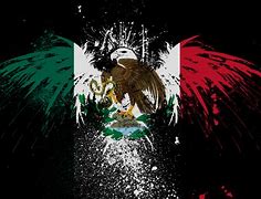 Image result for Bandera De Mexico Wallpaper Phone
