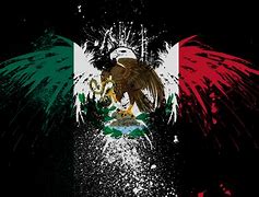 Image result for Mexican Flag Art